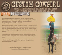 customcowgirltraining.com