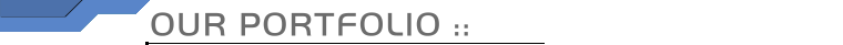 Our Portfolio